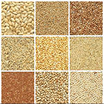 Grains  五谷杂粮