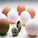 Poultries 蛋