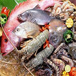 Seafoods 海鲜